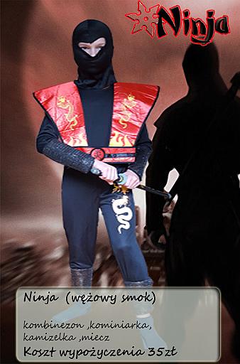 kostium ninja 4
